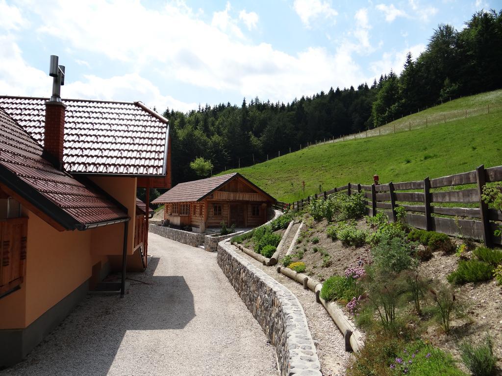 Apartments Trebusak Laze v Tuhinju Екстериор снимка