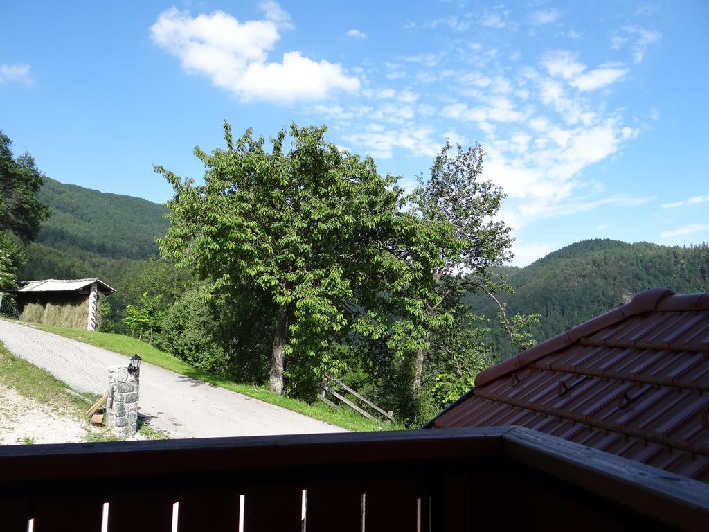 Apartments Trebusak Laze v Tuhinju Екстериор снимка